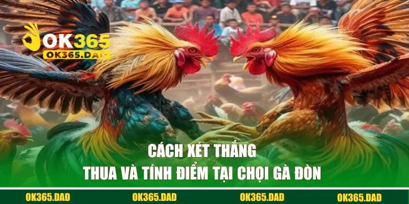 Cách xét thắng thua, tính điểm tại chọi gà đòn 