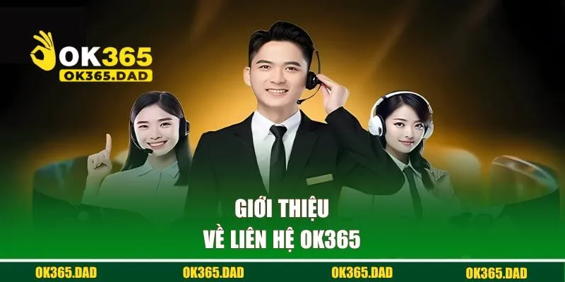 Hiểu cơ bản về liên hệ ok365