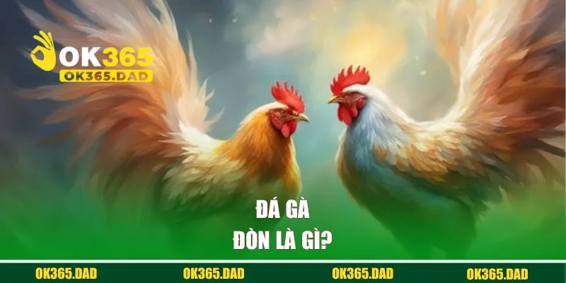 Đá gà đòn là gì? 